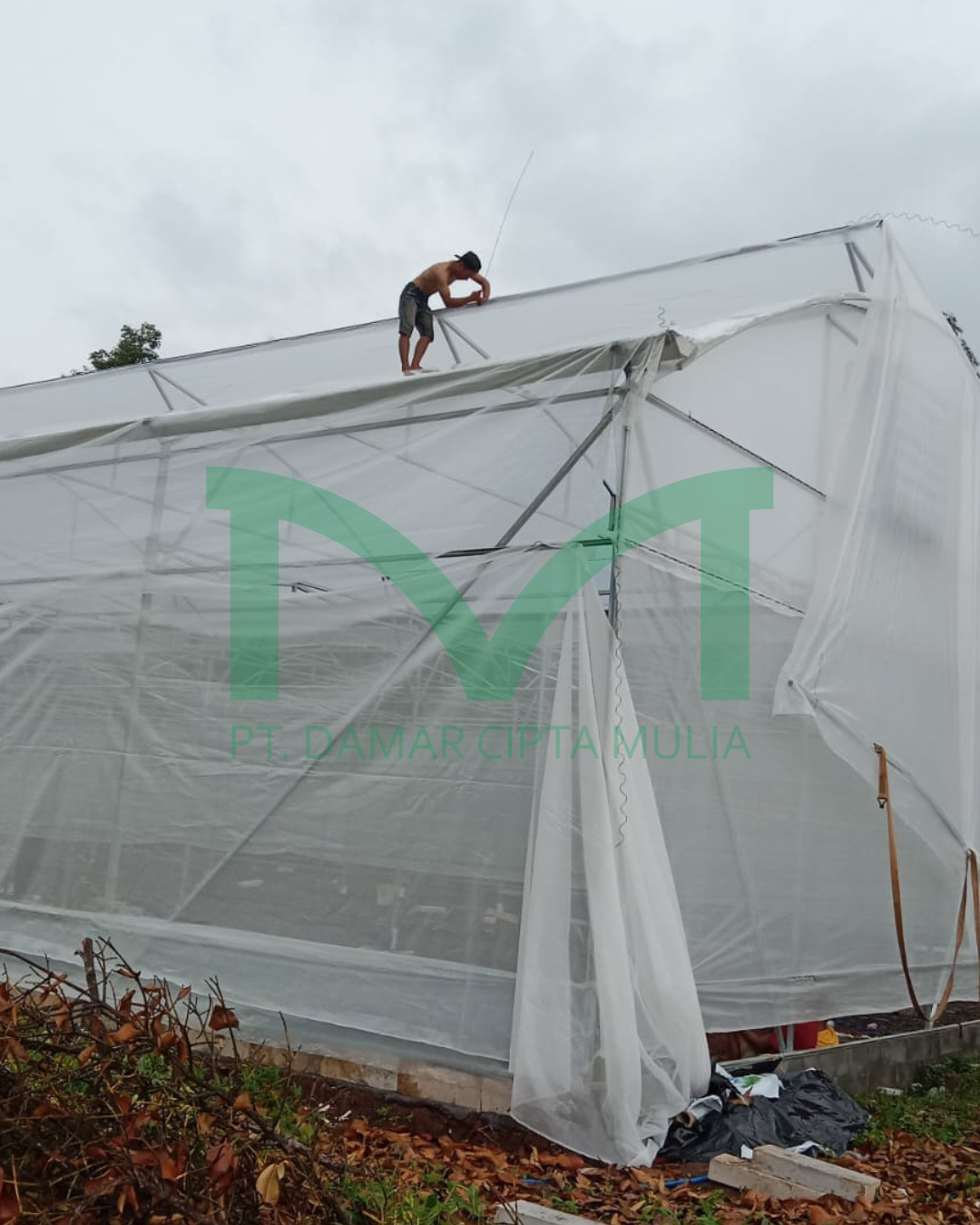 finishing covering greenhouse
