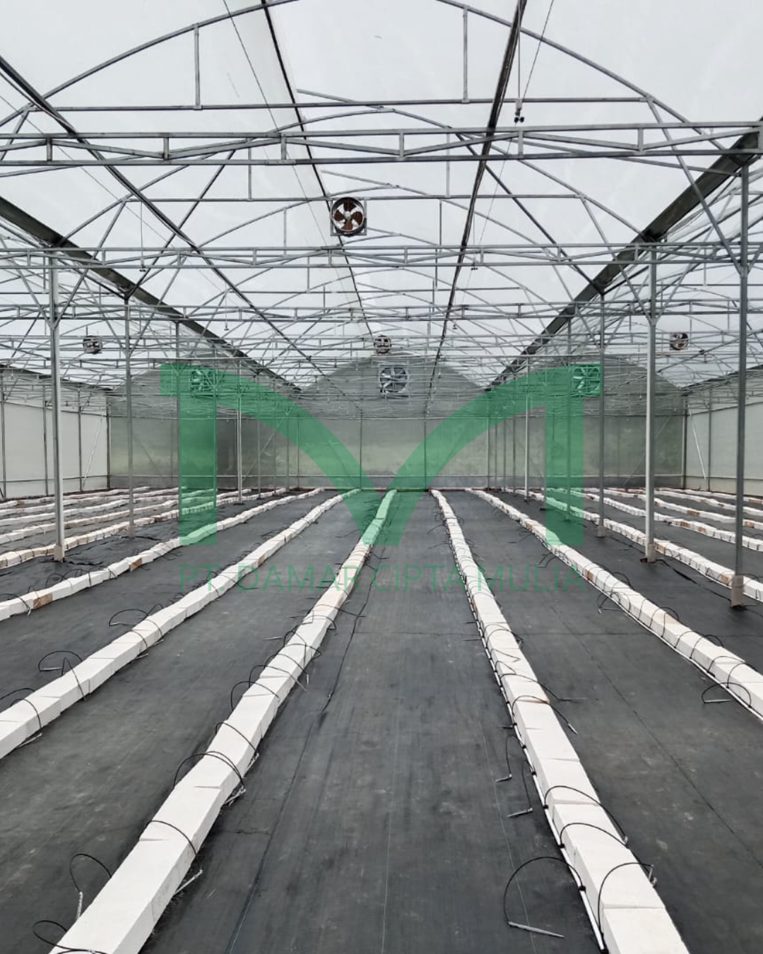 instalasi drip irigasi untuk melon hidroponik